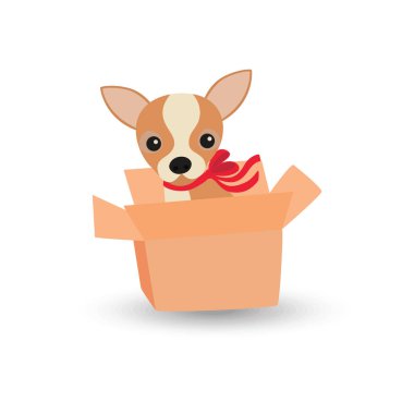 Kutusunda kırmızı bir fiyonk olan şirin bir Chihuahua köpeği.