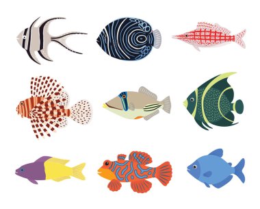 Set of exotic tropical marine aquarium colorful fish clipart