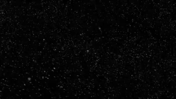 飘落的雪花，表面无光泽 — 图库视频影像