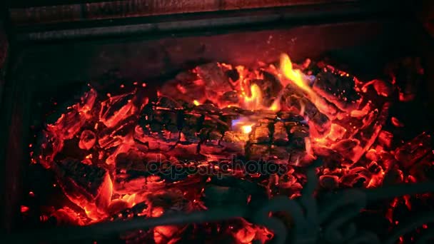 Vuur in open haard — Stockvideo