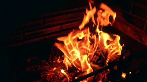 Feuer im Kamin — Stockvideo