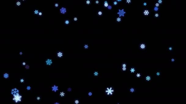 Частицы снежинок упали на черный экран — стоковое видео