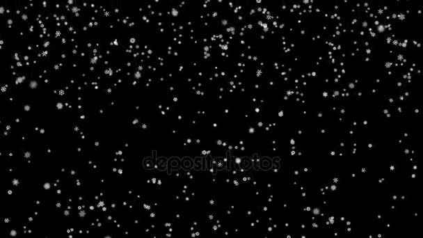 Copos de nieve partículas caídas en la pantalla negra — Vídeos de Stock