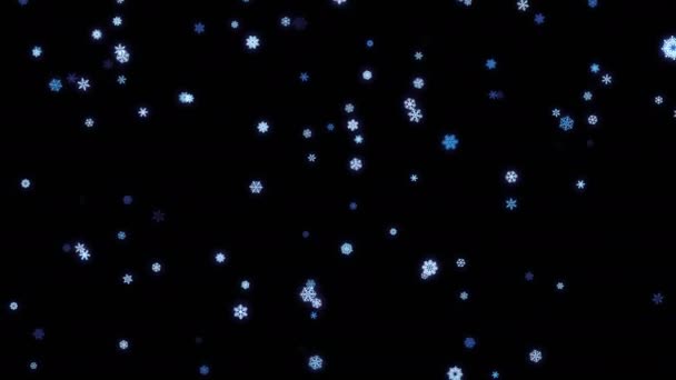 Snowflakes particles fallen down on black screen — Stock Video