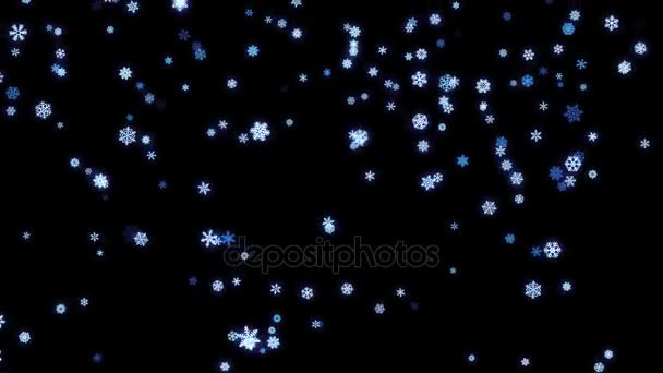 Fiocchi di neve particelle cadute sullo schermo nero — Video Stock