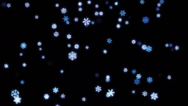 Νιφάδες χιονιού σωματίδια πεσμένοι κάτω σε μαύρη οθόνη — Αρχείο Βίντεο