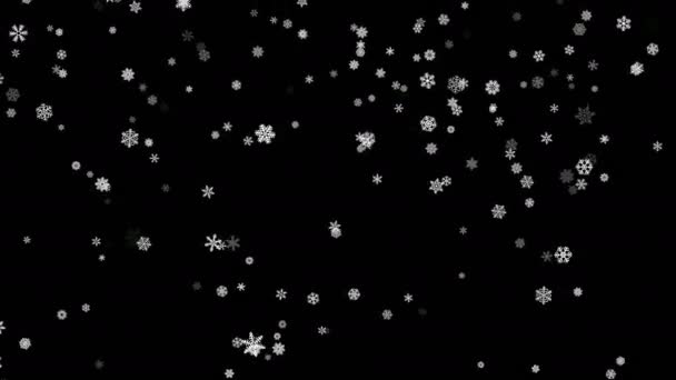 Частицы снежинок упали на черный экран — стоковое видео