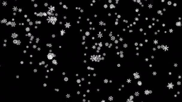 Schneeflocken fallen auf schwarzen Bildschirm herab — Stockvideo