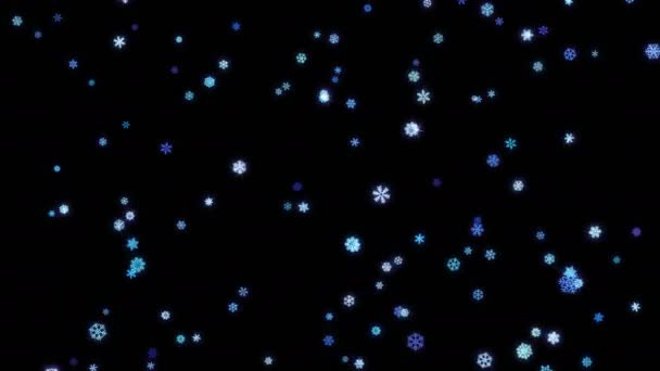 Snowflakes particles fallen down on black screen — Stock Video