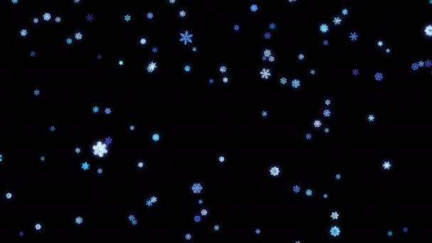 Fiocchi di neve particelle cadute sullo schermo nero — Video Stock