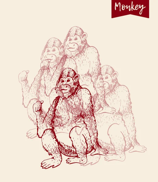 Рисунок обезьяны — стоковый вектор