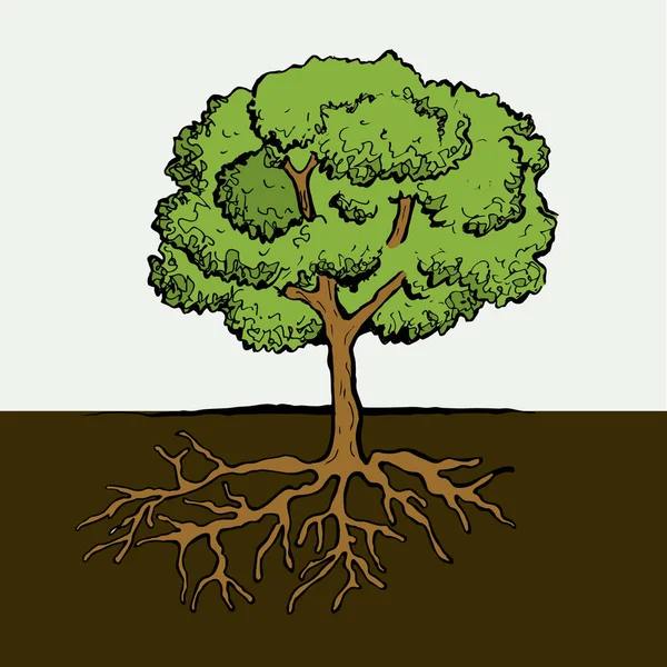 Árbol con raíces y hojas. Imagen vectorial . — Archivo Imágenes Vectoriales