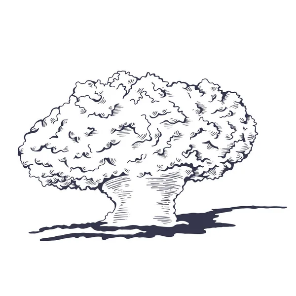 Nuage de champignons provenant du bombardement atomique — Image vectorielle