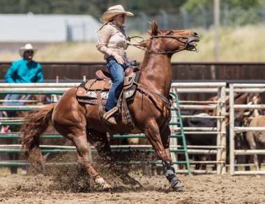 Buzağı Kementleme Cowgirl