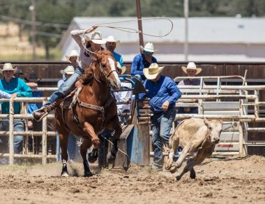 Buzağı Kementleme Cowgirl