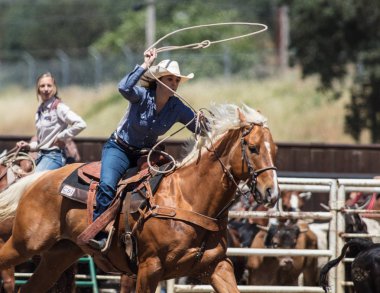 Buzağı Kementleme Cowgirl