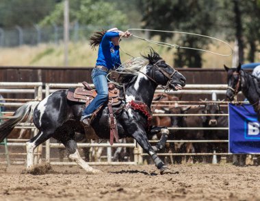 Calf Roping Cowgirl clipart