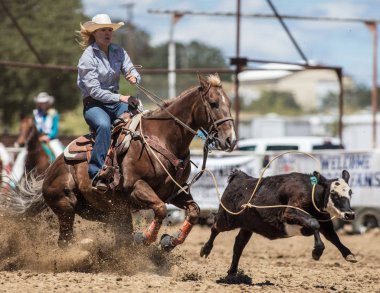 Buzağı Kementleme Cowgirl