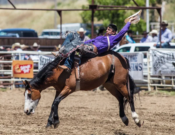 Bareback Cowboy segurando em — Fotografia de Stock