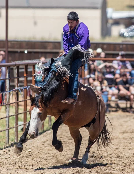 Bareback Cowboy Hold on — стоковое фото