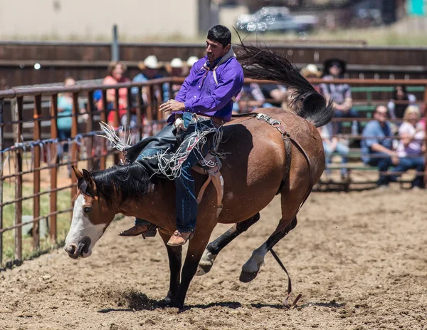 Bareback Cowboy Hold on — стоковое фото