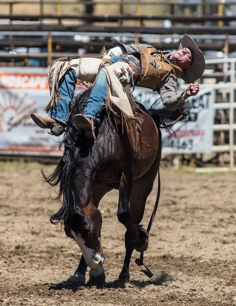 Saddleback Bronc Cowboy — Stockfoto