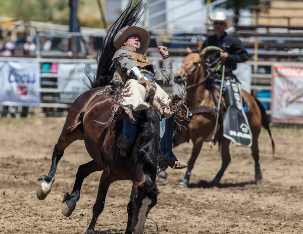 Saddleback Bronc Vaquero —  Fotos de Stock