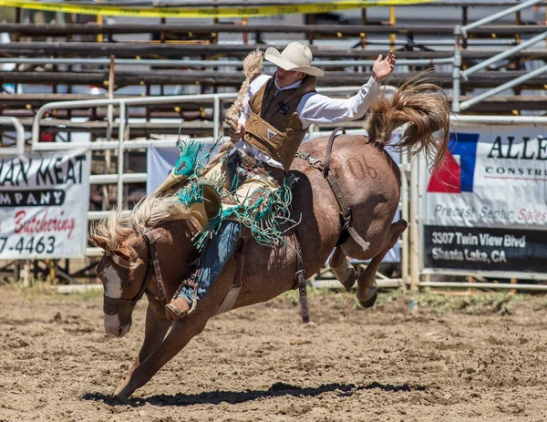 Saddleback Bronc Cowboy — Stockfoto