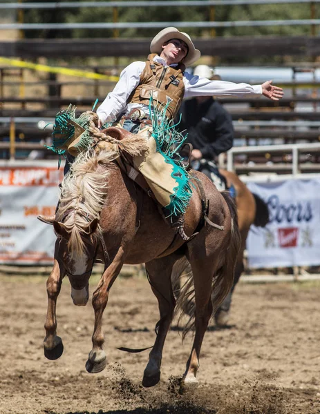 Saddleback Bronc Cowboy — Photo