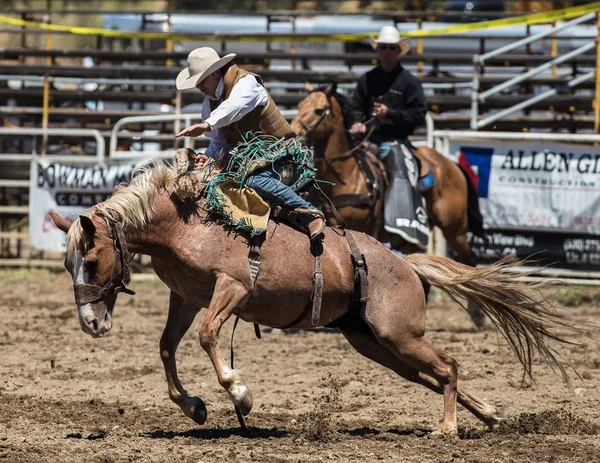 Saddleback Bronc Cowboy — Stock Photo, Image