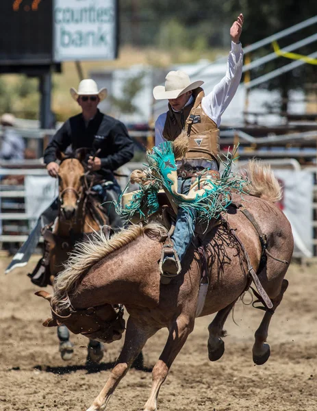 Saddleback Bronc Cowboy — Stockfoto