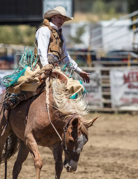 Saddleback Bronc Cowboy — Zdjęcie stockowe