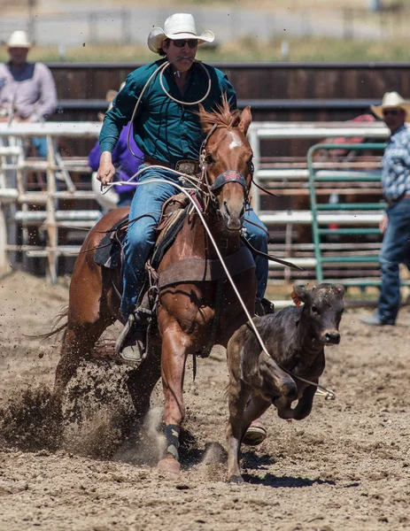 Calf Roping Cowboy — Stock Photo, Image