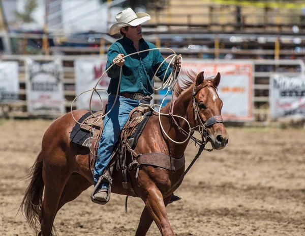 Cielę Roping Cowboy — Zdjęcie stockowe