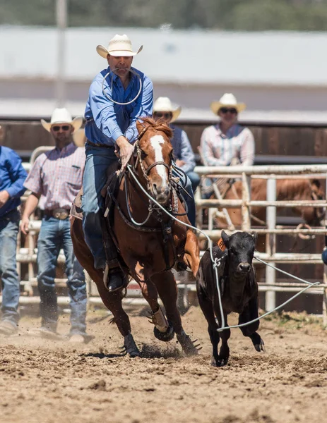 Vaquero de cuerda de ternero — Foto de Stock