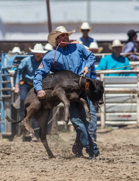 Kalbsseil-Cowboy — Stockfoto