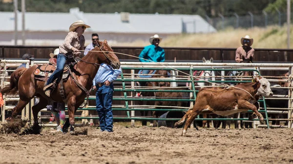 Kalf moulinette Cowgirl — Stockfoto