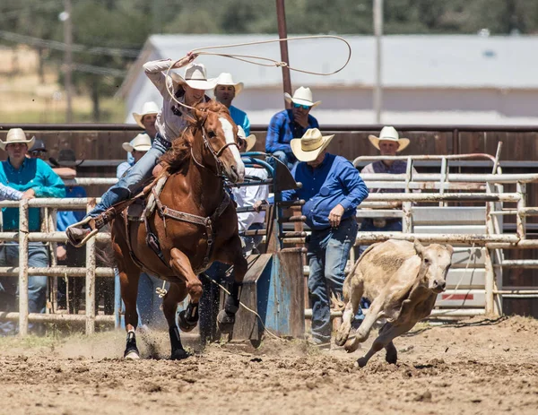 Kalv Roping Cowgirl — Stockfoto