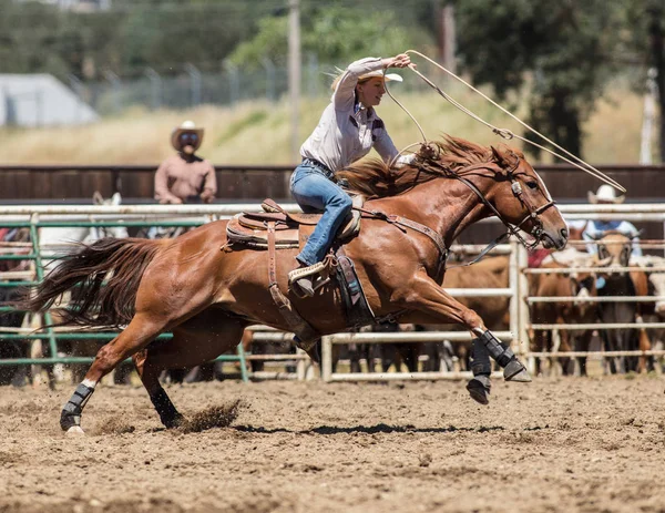 Kalf moulinette Cowgirl — Stockfoto