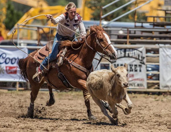 Vitello corda cowgirl — Foto Stock