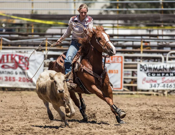Kalv Roping Cowgirl — Stockfoto