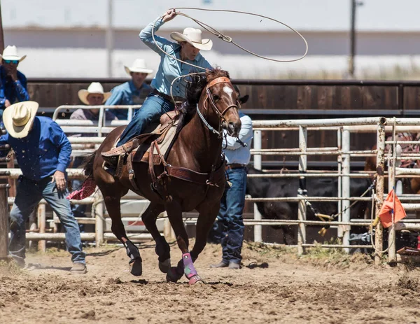 Kalv Roping Cowgirl — Stockfoto