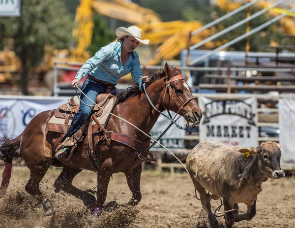 Kalf moulinette Cowgirl — Stockfoto