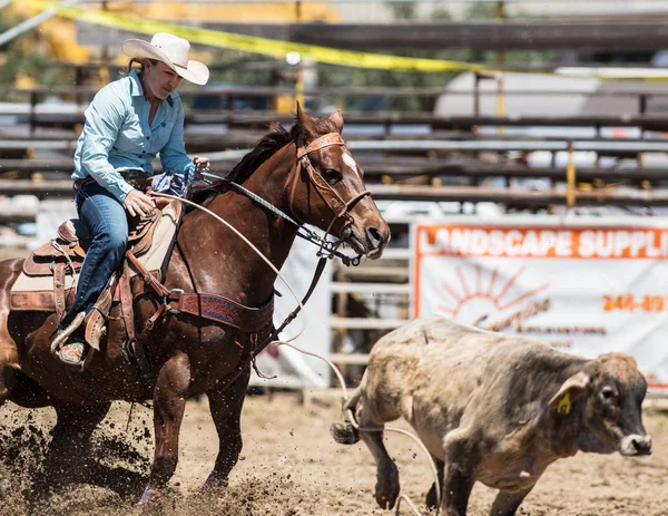 Kalf moulinette Cowgirl — Stockfoto