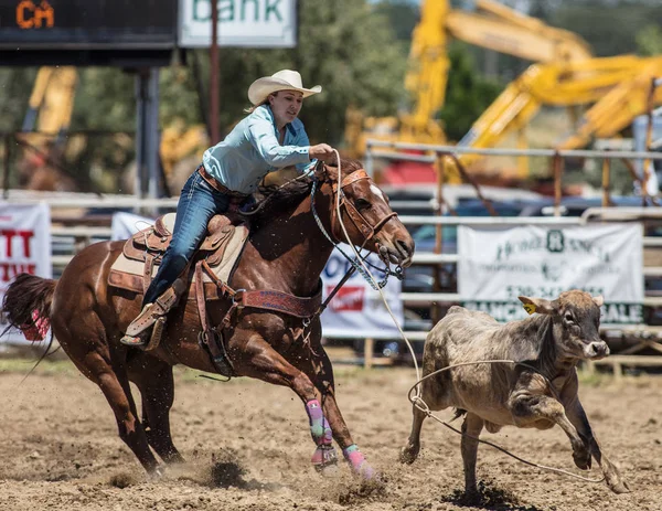 Kalv Roping Cowgirl — Stockfoto