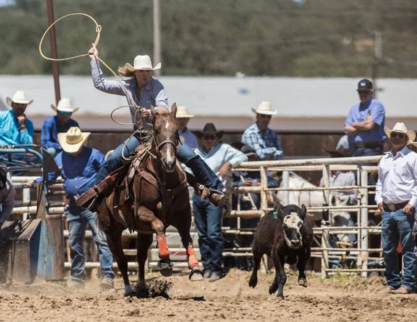 Kalv Roping Cowgirl — Stockfoto