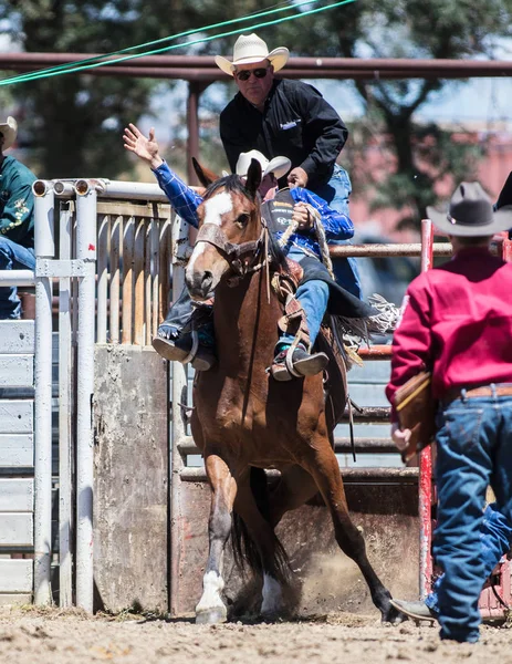 Saddleback Cowboy Action — Stockfoto