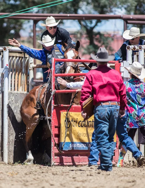 Saddleback Cowboy Action — Zdjęcie stockowe