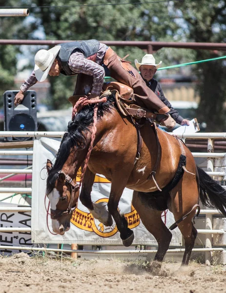 Saddleback Cowboy actie — Stockfoto