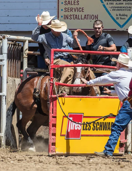 Saddleback Cowboy Action — Stock Photo, Image